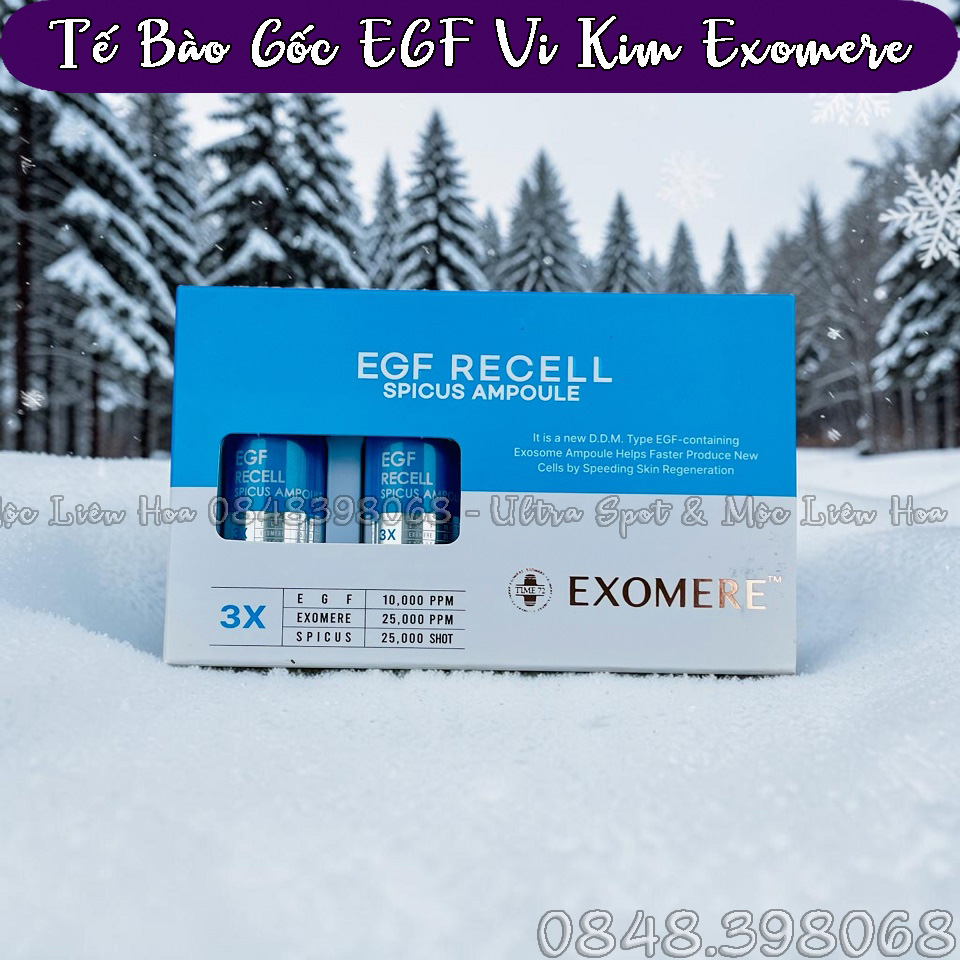 TBG EGF VI KIM 1