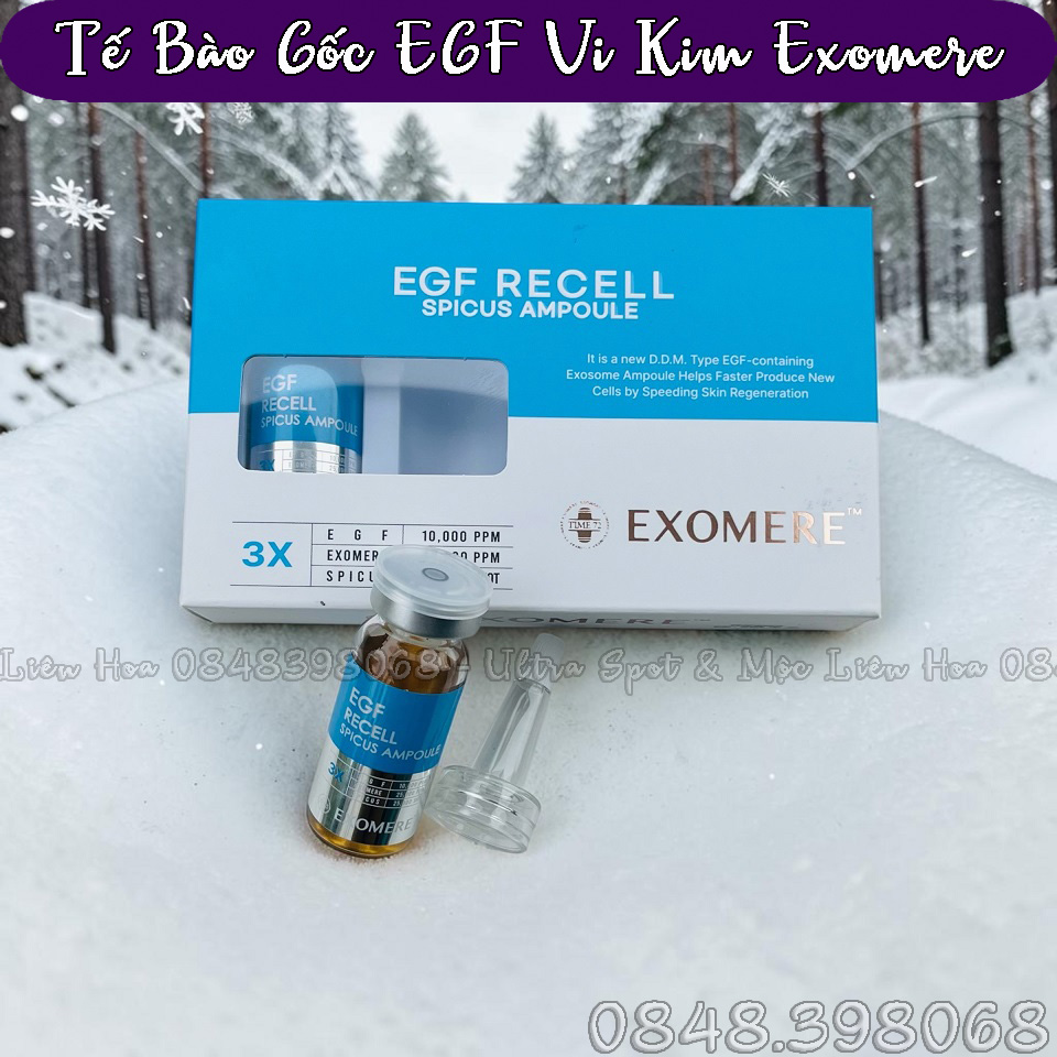 TBG EGF VI KIM 2
